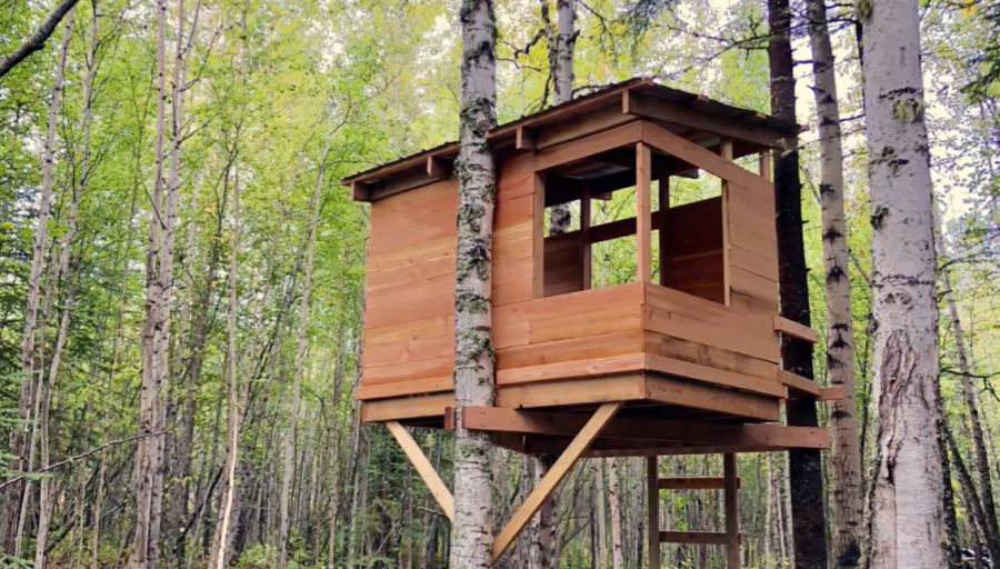 Building a modern treehouse with a slanted roof