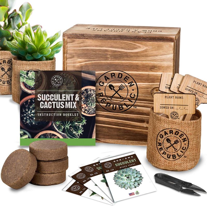 Cactus Succulent Seed Starter Kit