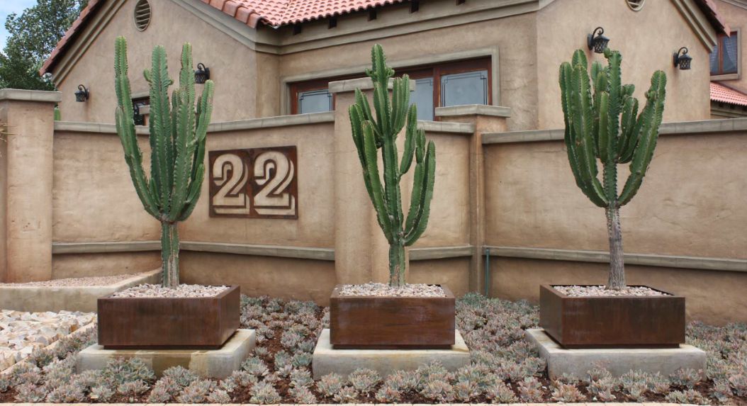 Cactus corten planter