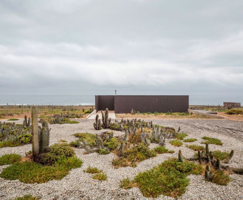 Casa C14 landscape with cacti