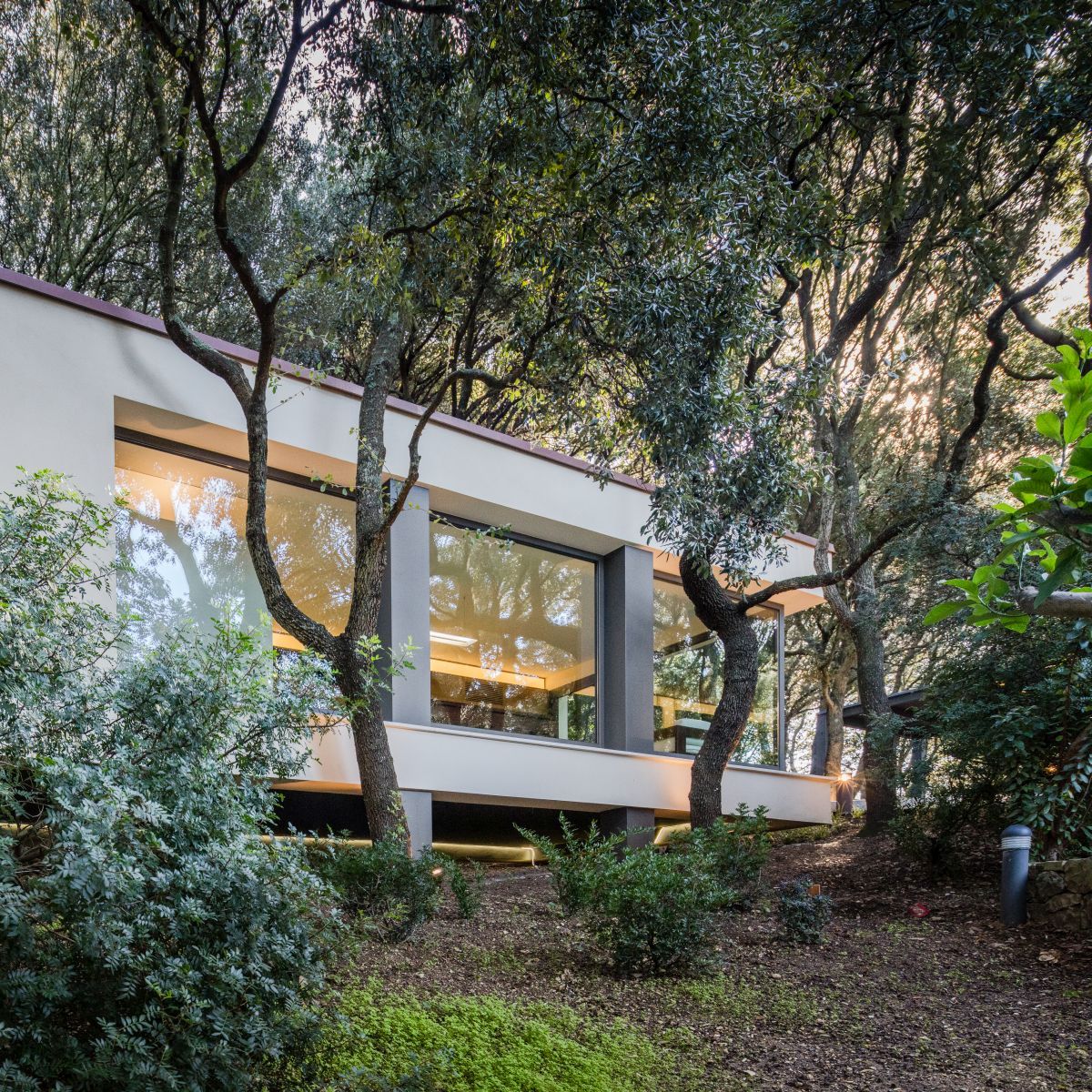 Modern House In The Woods Guarded By The Oak Trees