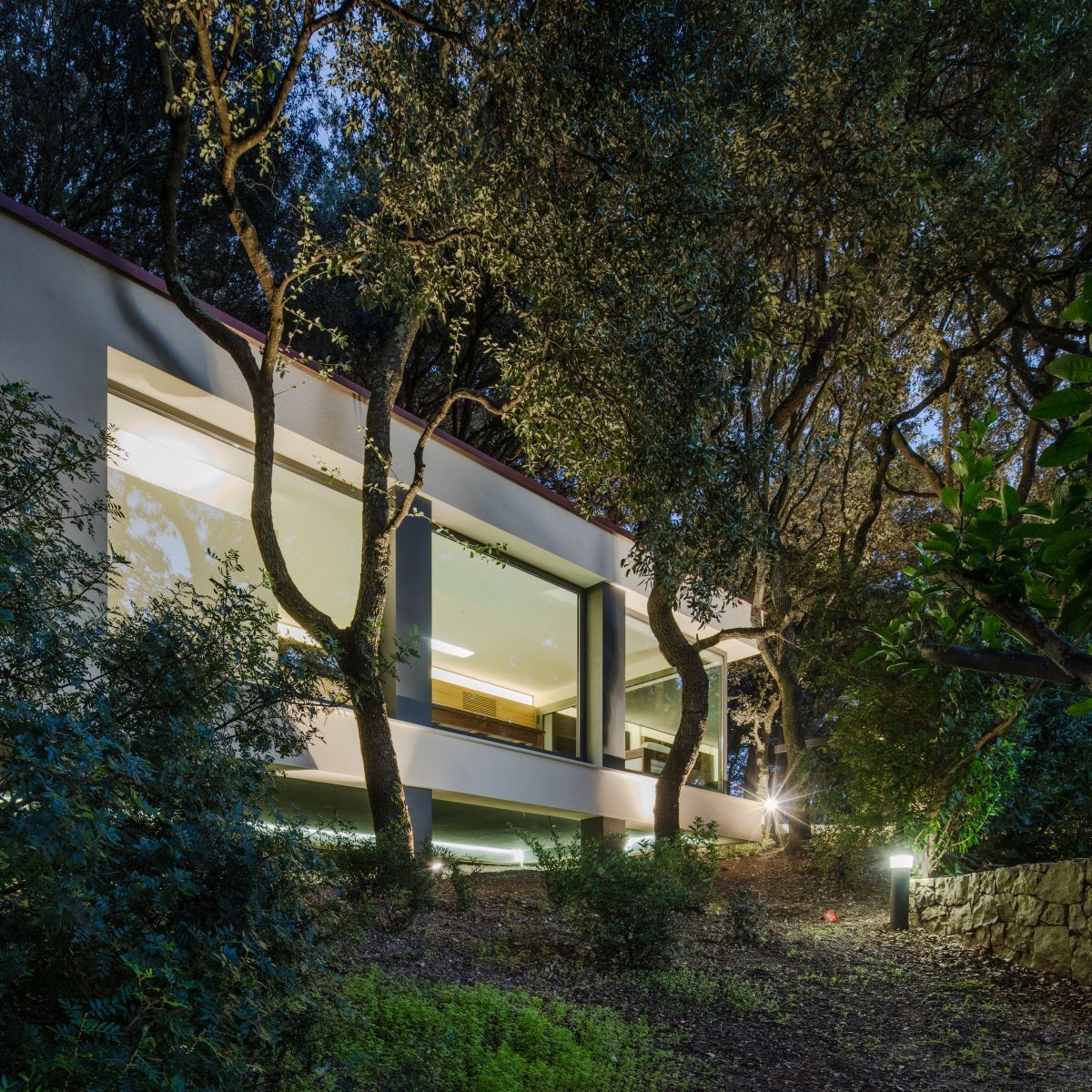 Casa nel Bosco lights up at night