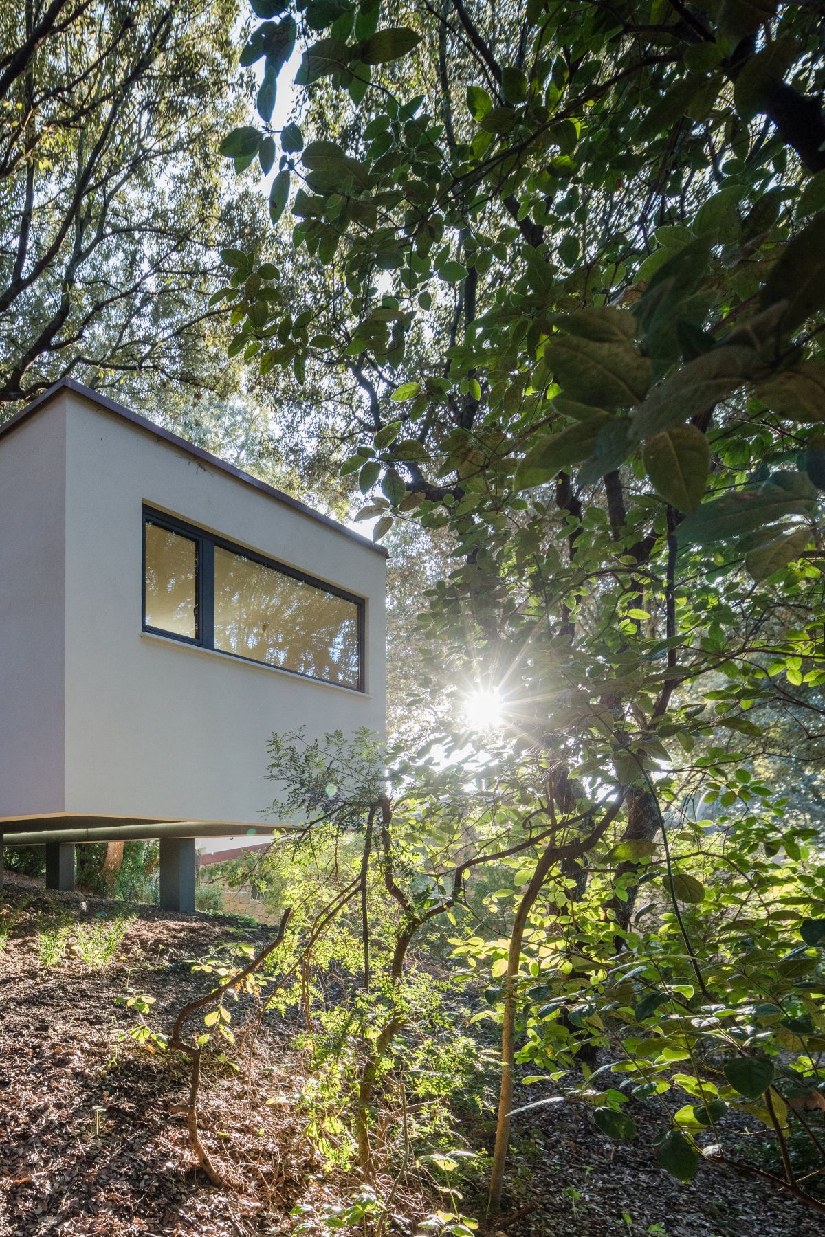 Casa nel Bosco narrow side openings