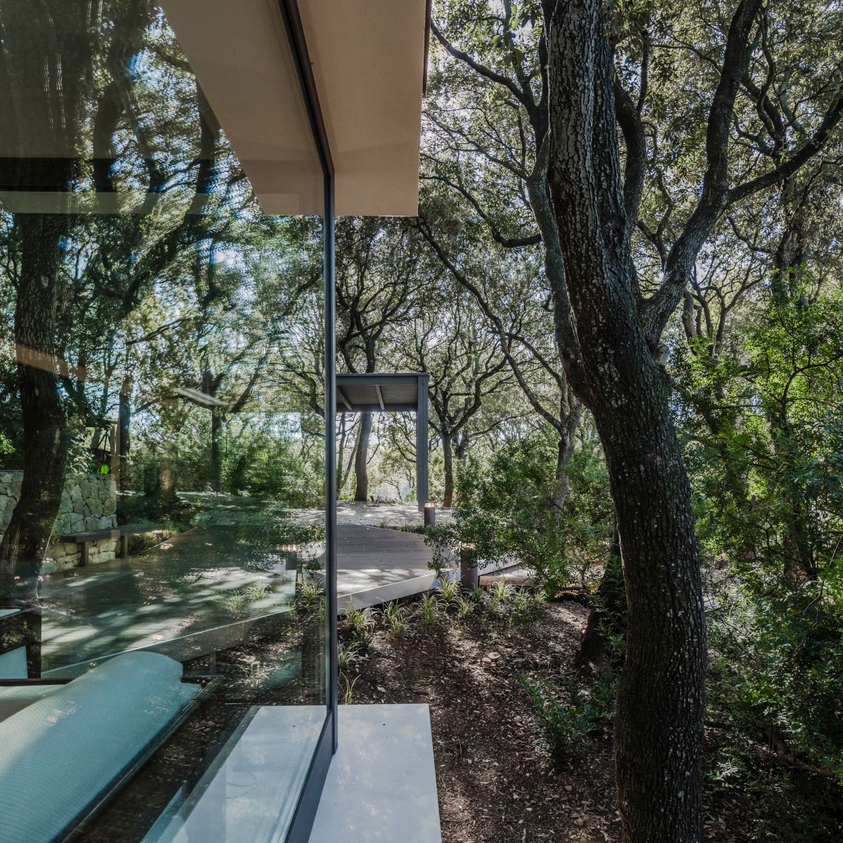 Casa nel Bosco nature reflected into the glass wall