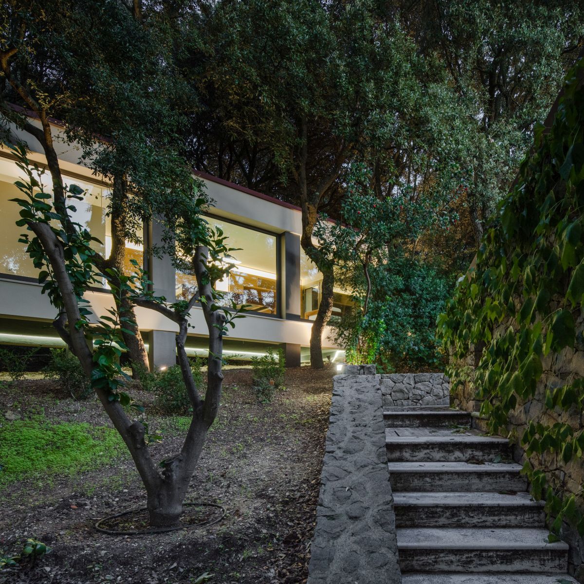 Casa nel Bosco stone stairs leading to the house