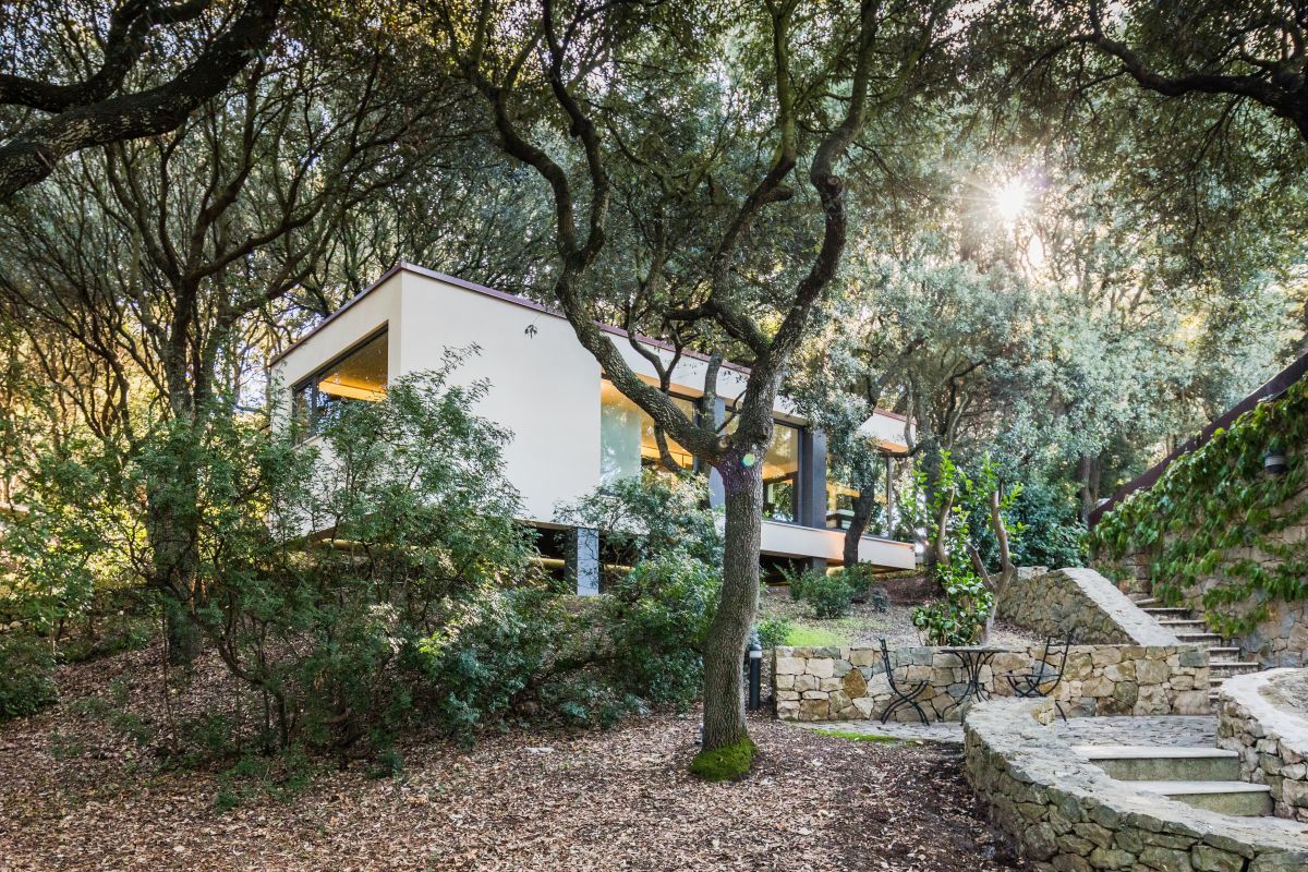 Casa nel Bosco stone stairs through the trees