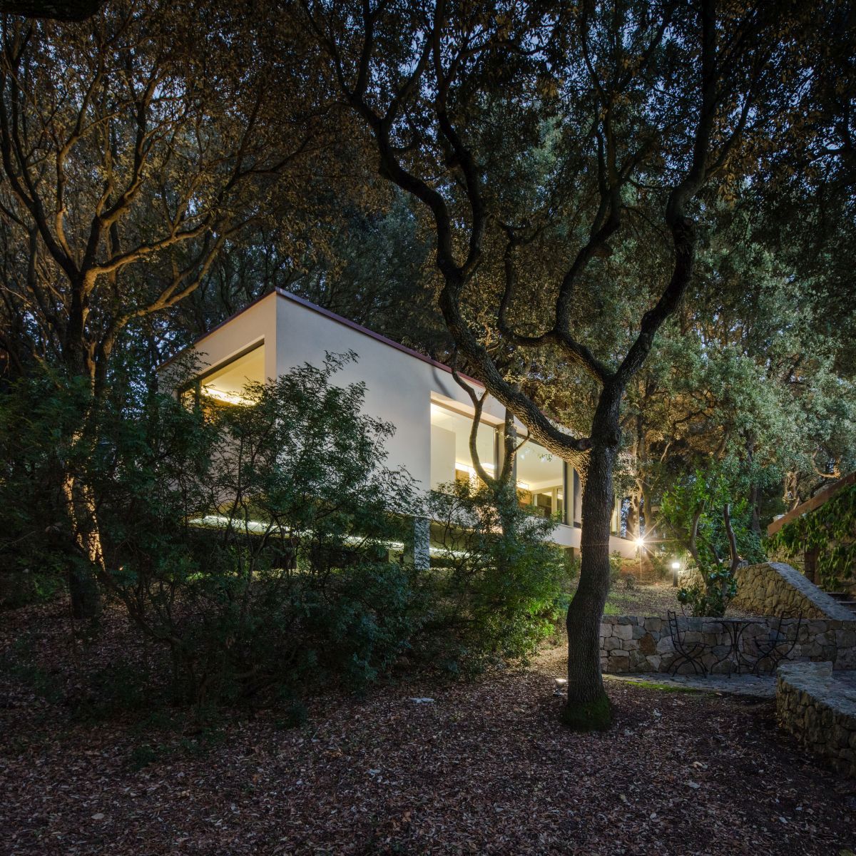 Casa nel Bosco surroundings at dawn