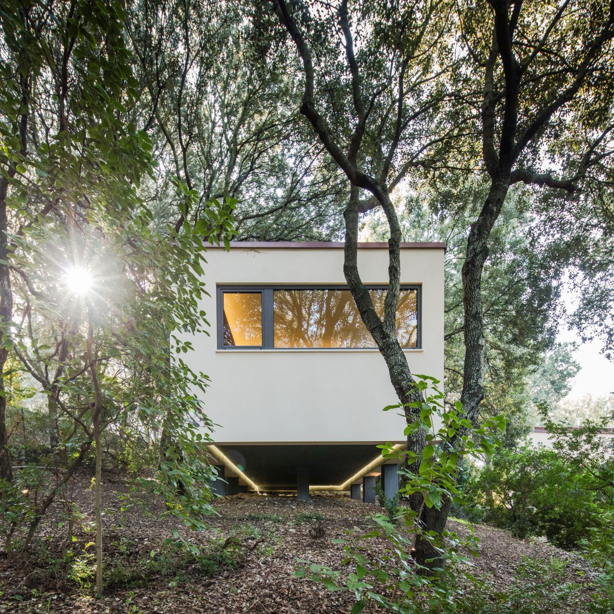 Casa nel Bosco suspended above ground