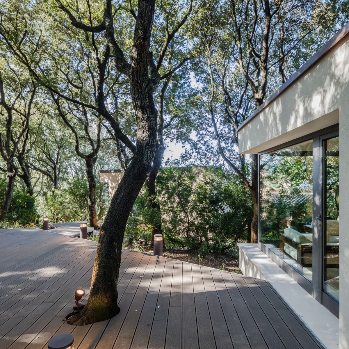 Casa nel Bosco tree embedded into the deck