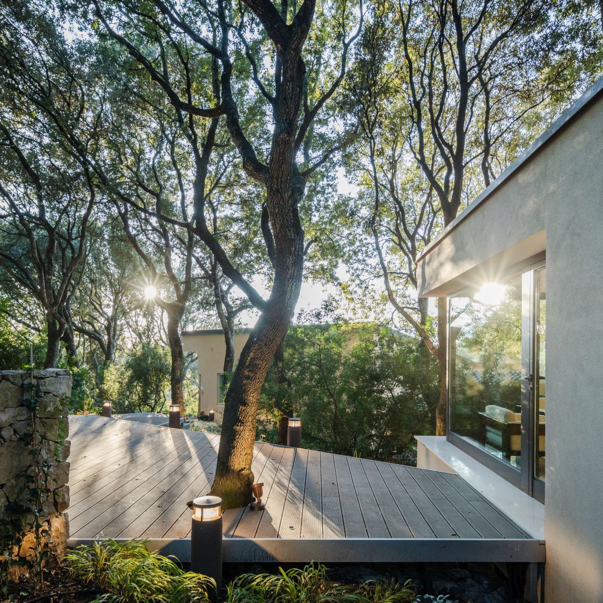 Casa nel Bosco trees growing through terrace