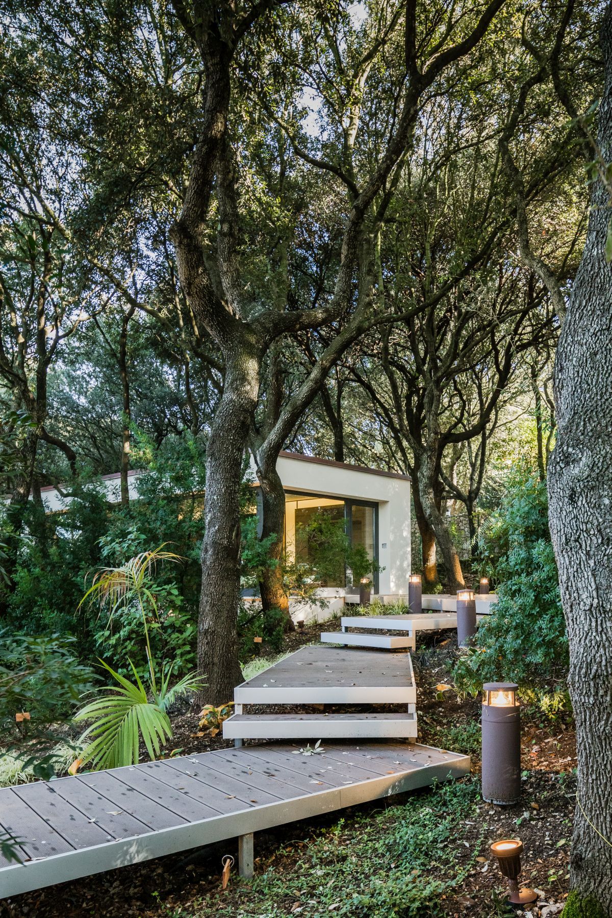 Casa nel Bosco wooden walkway between trees