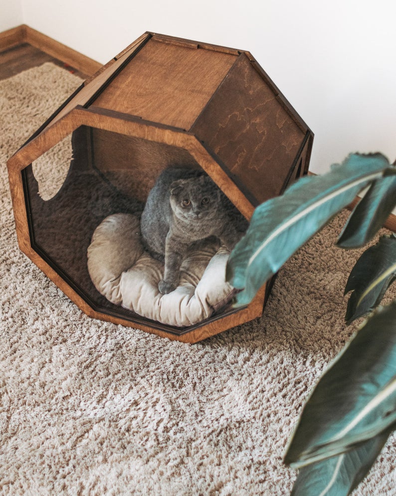 Cat Lover Gift