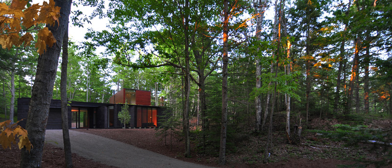 Charred cedar house with a green roof woods