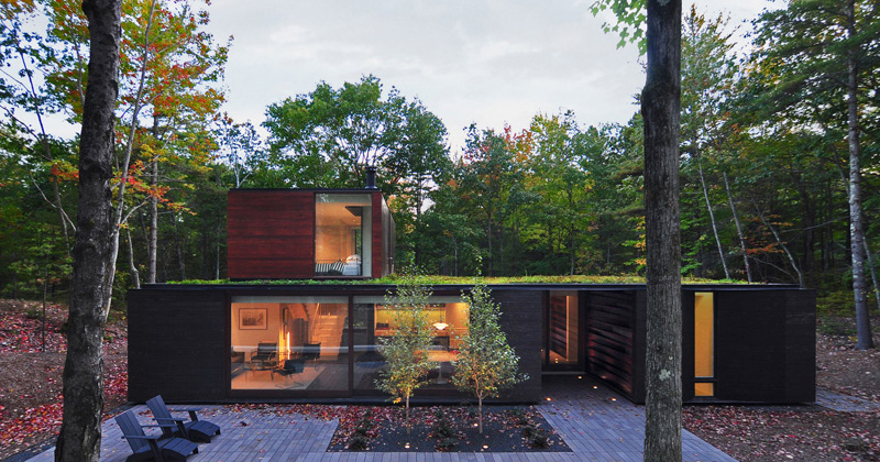 Charred cedar house with a green roof