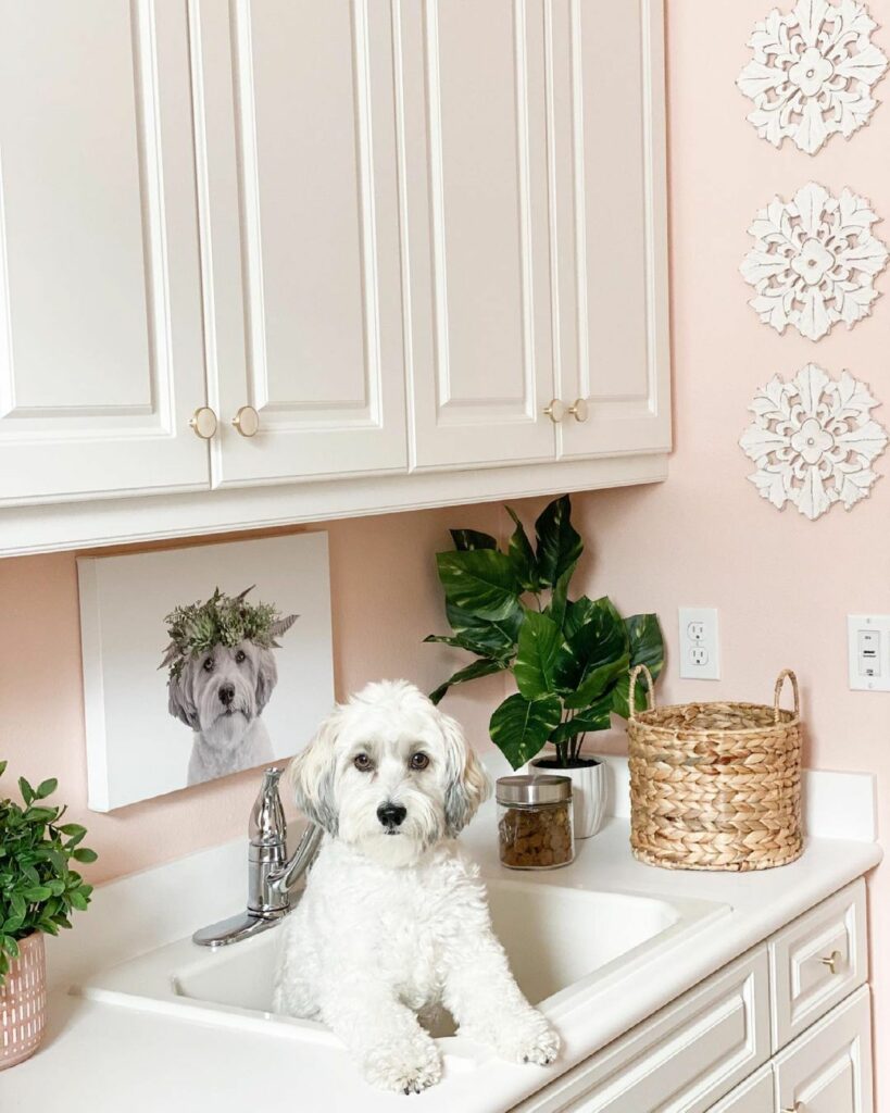 Cheery Laundry Area 819x1024