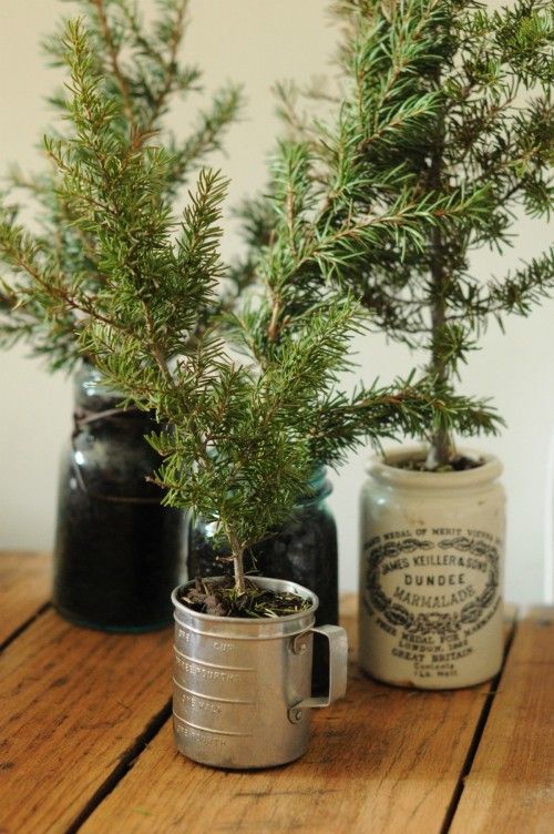 Christmas trees mugs