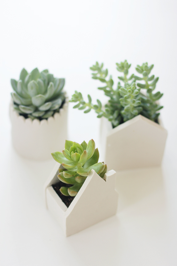 Clay succulent pots