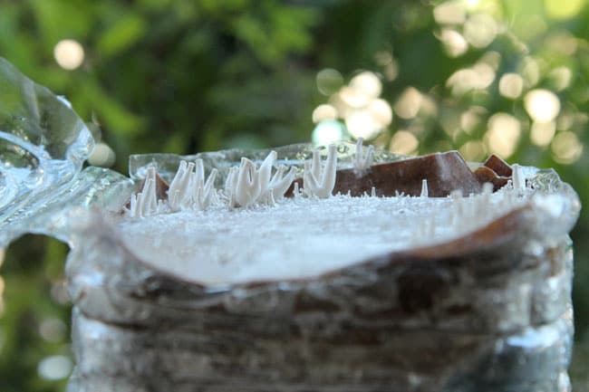 Coffee grounds plastic bottle