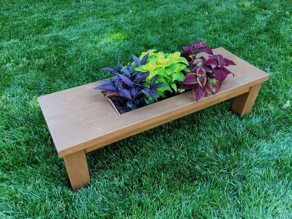 Coffee table with plants