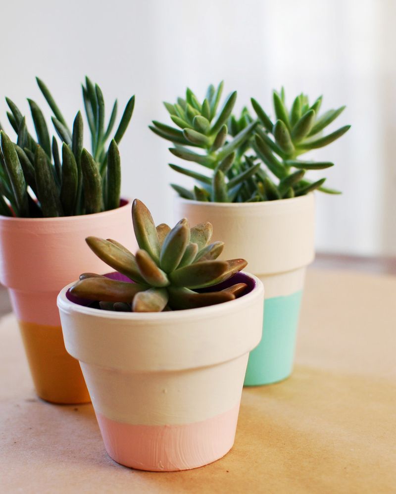 Color Blocker on Terracota pots