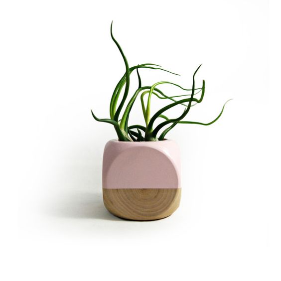 Colorblock succulent planter