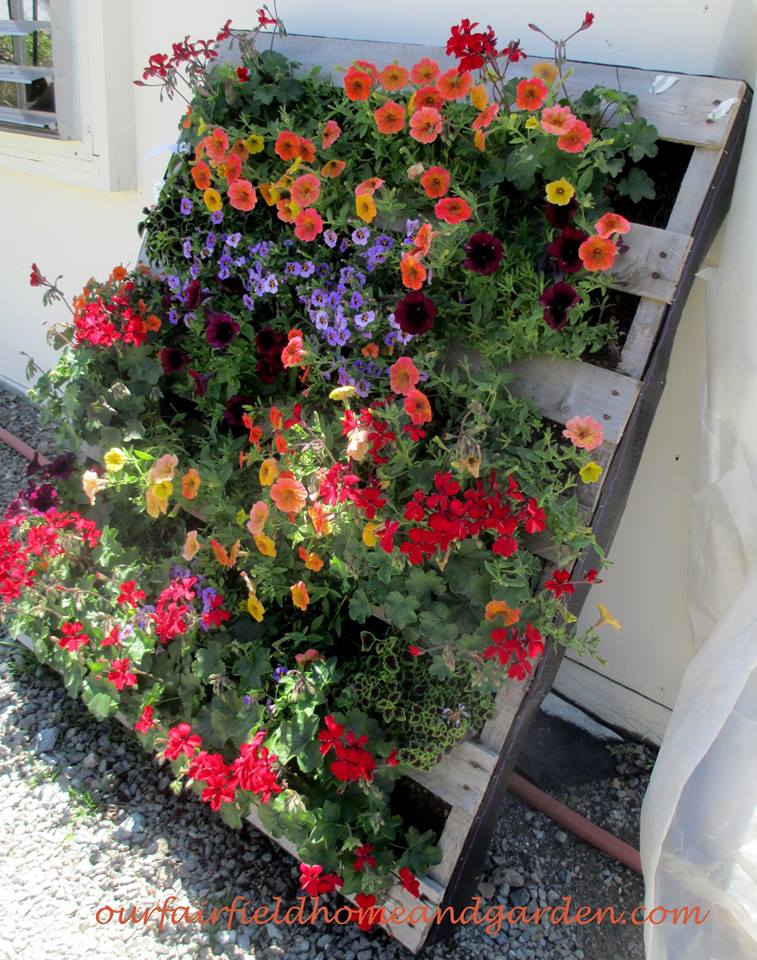 A Simple Pallet Garden