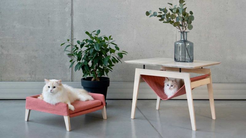 Comfy Cat Furniture From Labbvenn