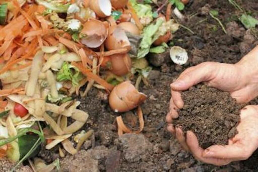 Compost