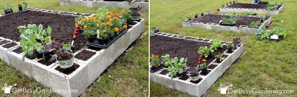 Concrete cnder blocks raised bed