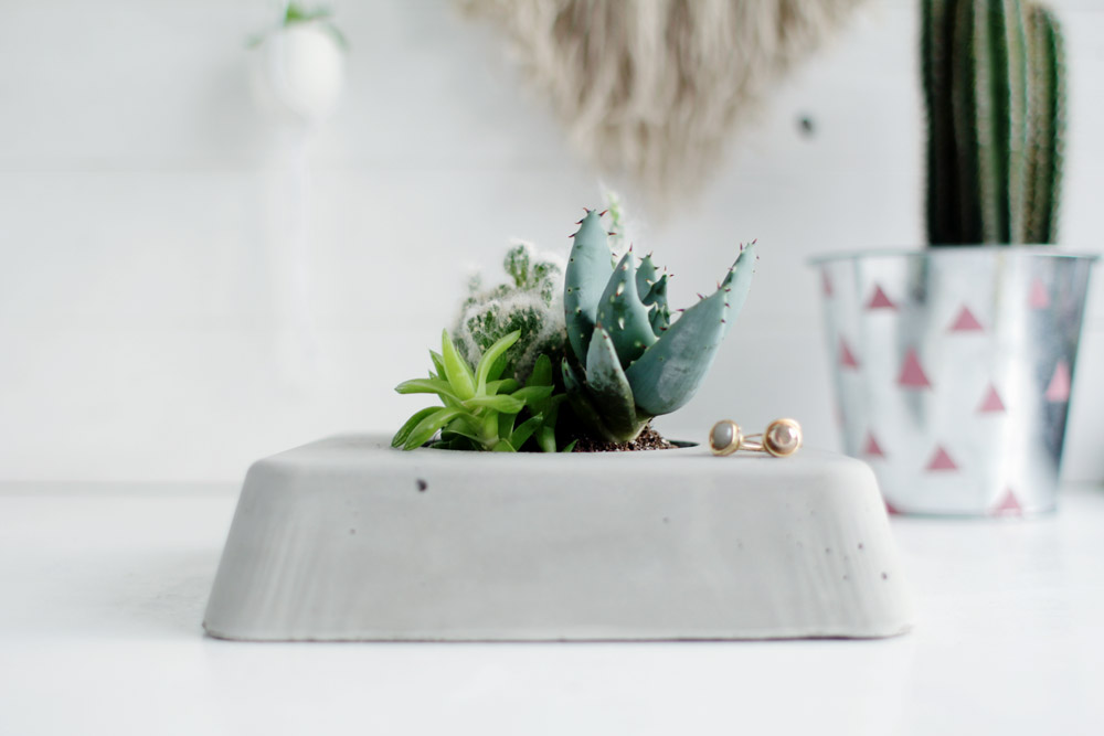 Concrete mini succulent planter