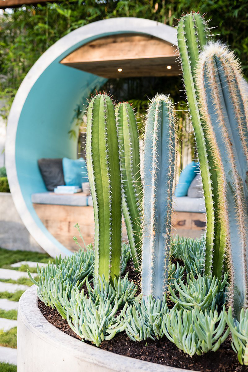 Concrete pipes planters for urban garden