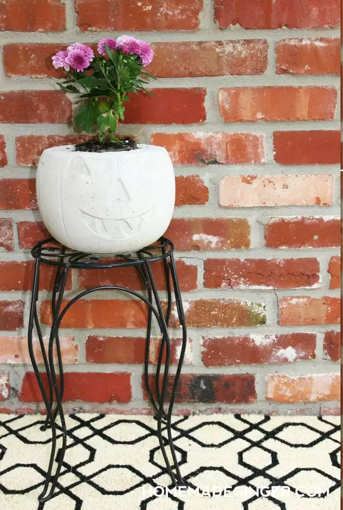 Concrete pumpkin planter