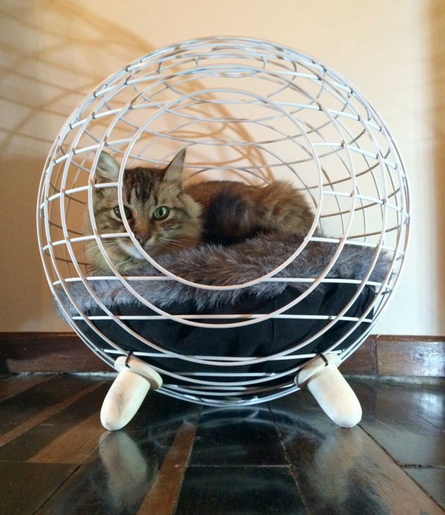 Contemporary Cat Bed by Lord Paw