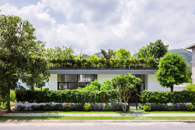 Contemporary house with rooftop terraced garden - Lush Garden