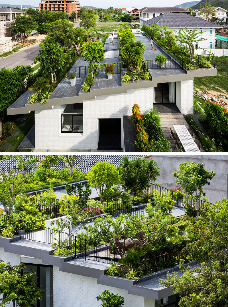 Contemporary house with rooftop terraced garden design