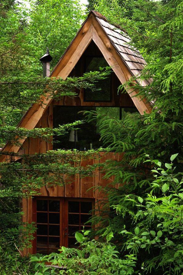 Cool forest house tiny