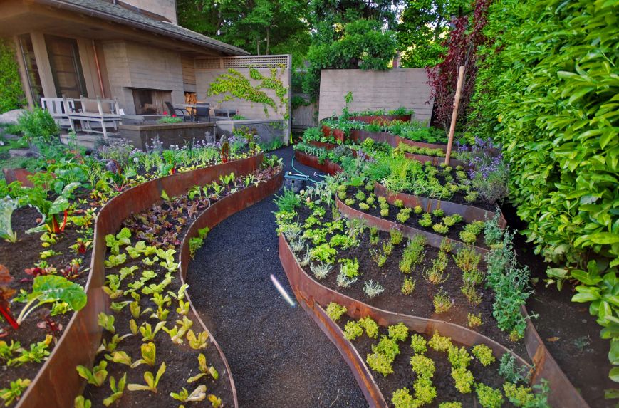 Corten planters for gardening