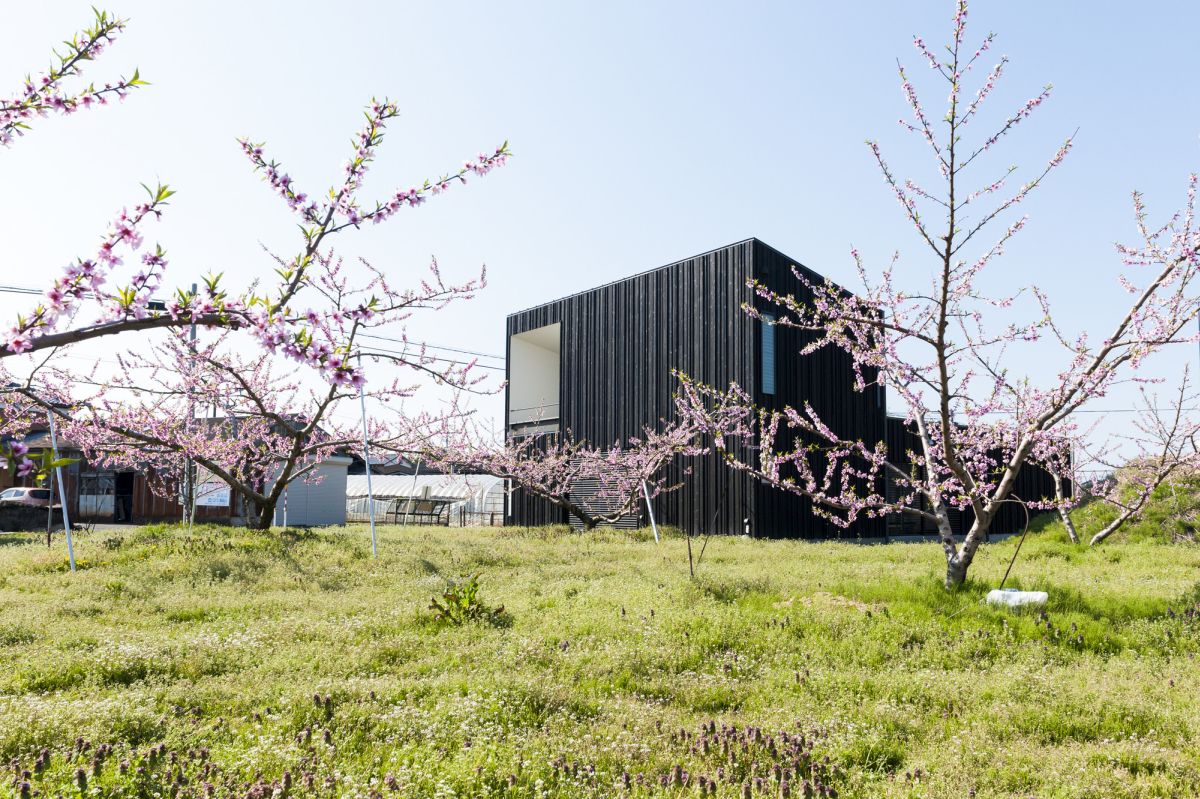 10 Stunning Structures With Gorgeous Inner Courtyards