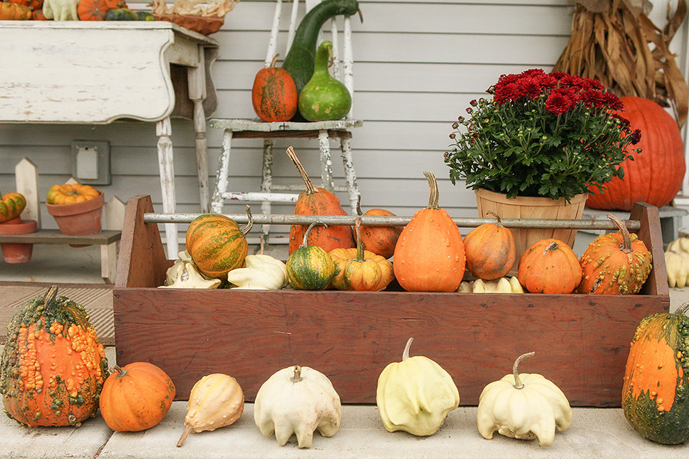 Create Your Own Pumpkin and Gourd Display