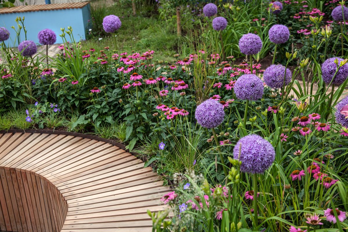 You can also play with colors and forms when you're choosing the plants to put around the bench