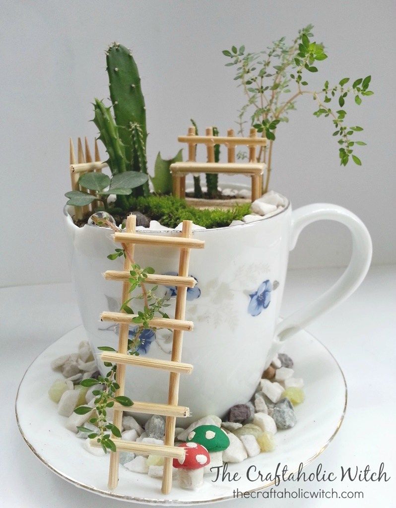 Cute tea cup fairy garden DIY