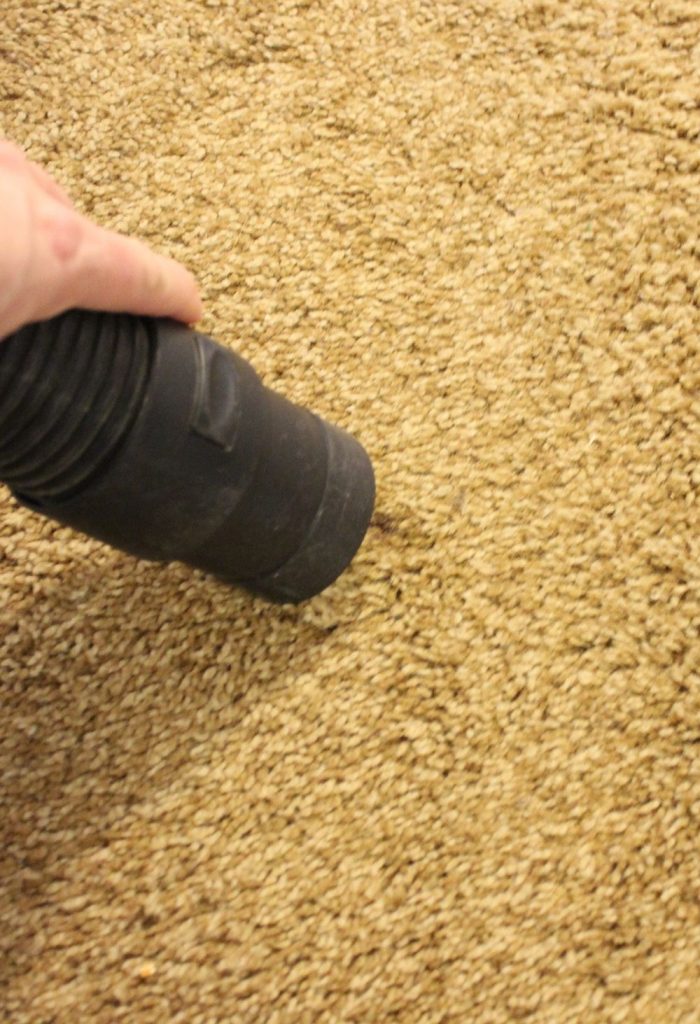 DIY Carpet Cleaner vacuum 700x1024