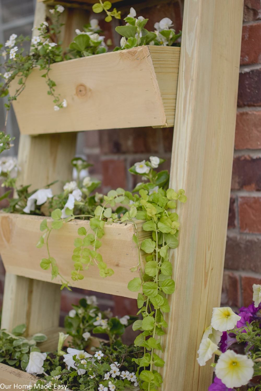 DIY Cedar Ladder Planter