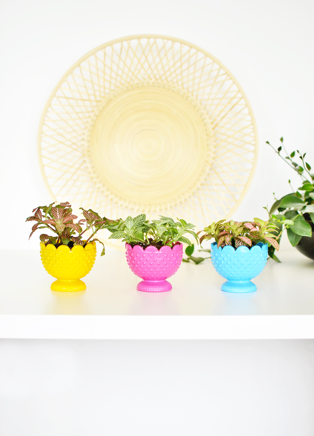 DIY Colorful Votive Planters