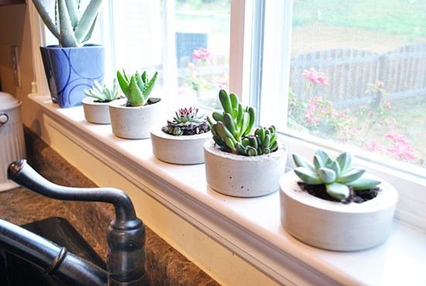 DIY Concrete Planters5