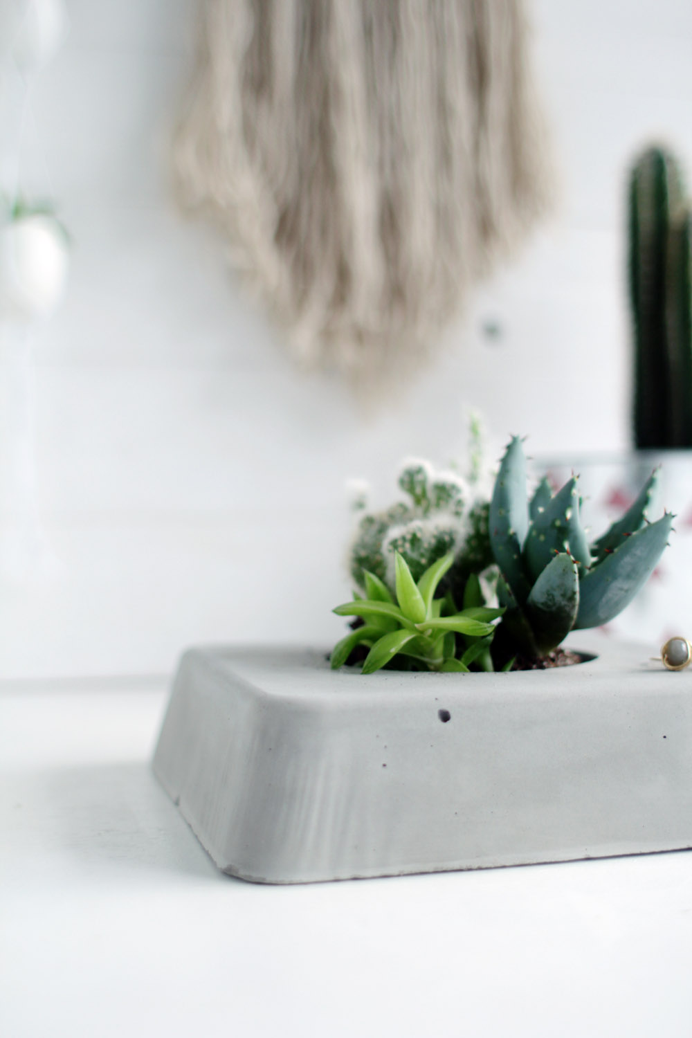 DIY Concrete Succulent Planter Angle