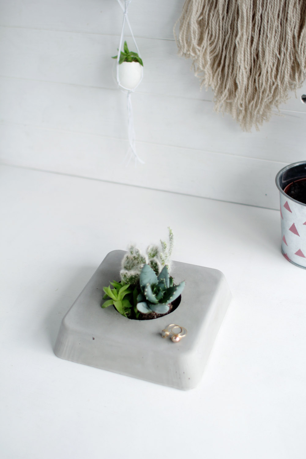 DIY Concrete Succulent Planter Centerpiece