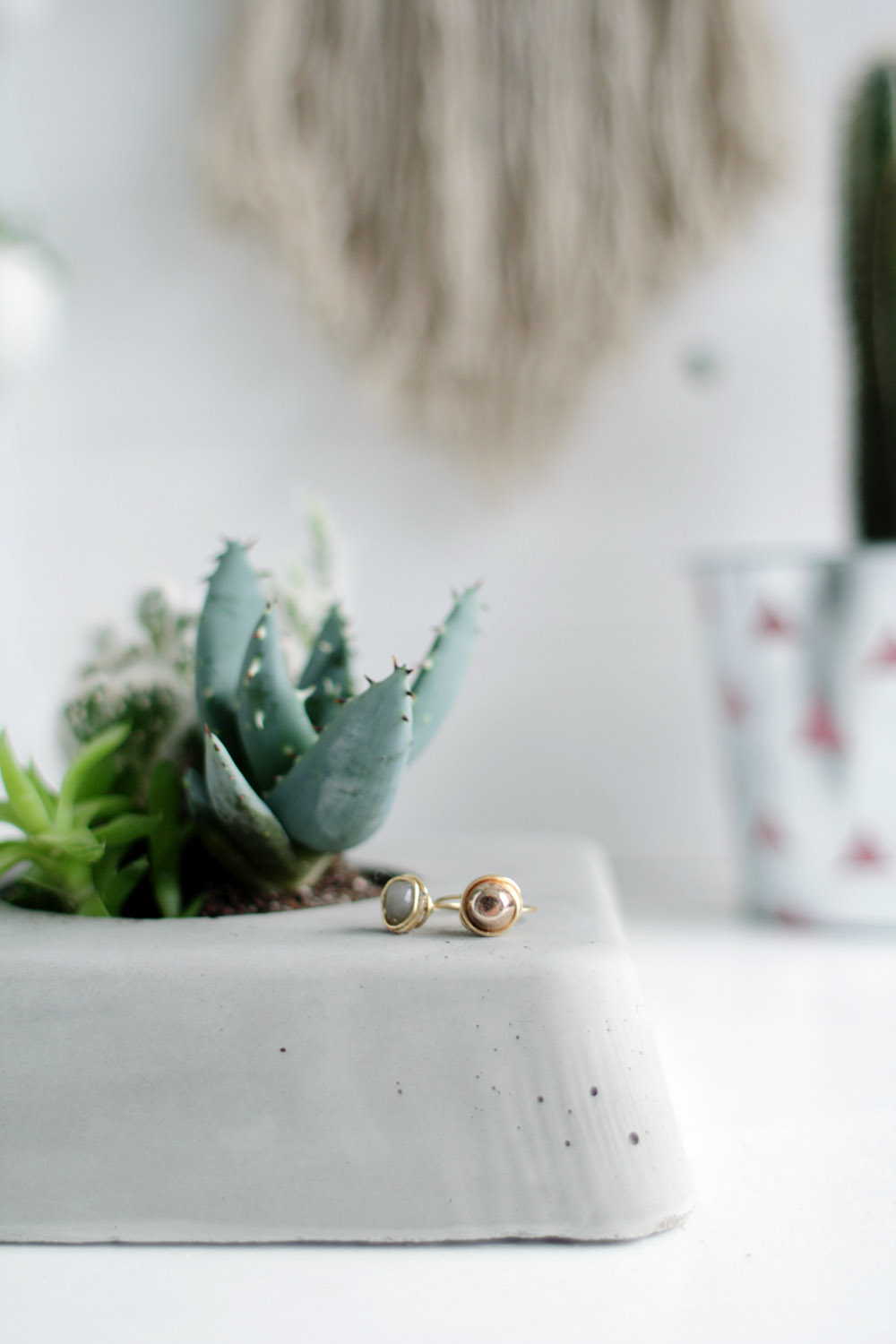 DIY Concrete Succulent Planter Closer View