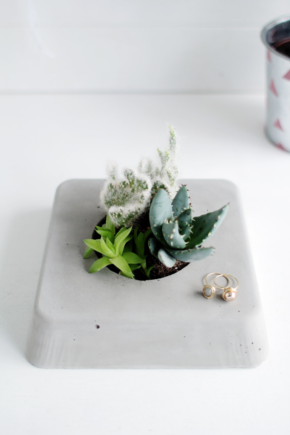 DIY Concrete Succulent Planter Finished View