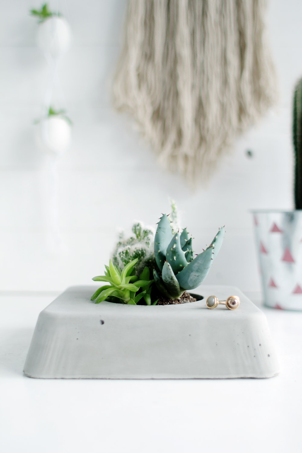 DIY Concrete Succulent Planter Finished